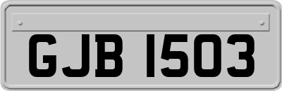 GJB1503