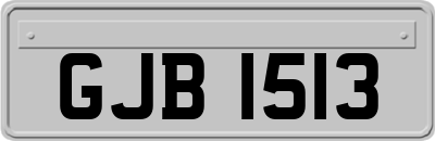 GJB1513
