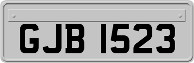GJB1523