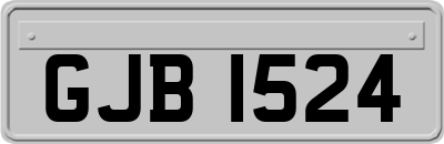 GJB1524