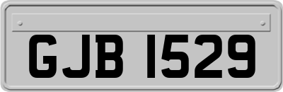 GJB1529