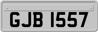 GJB1557