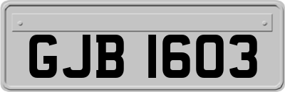 GJB1603