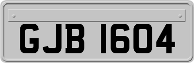 GJB1604