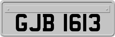 GJB1613