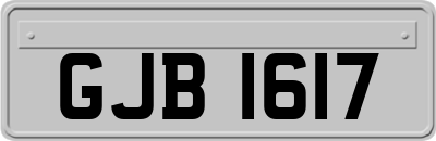 GJB1617