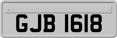GJB1618