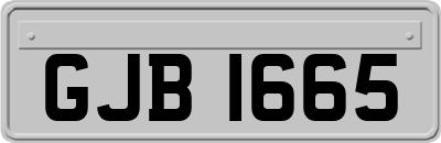 GJB1665