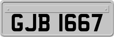 GJB1667