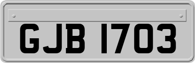 GJB1703