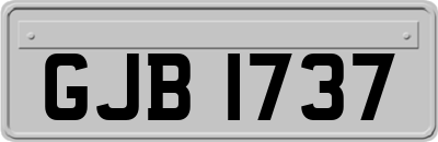GJB1737