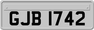 GJB1742