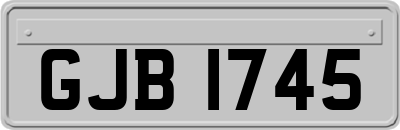 GJB1745