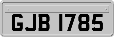 GJB1785