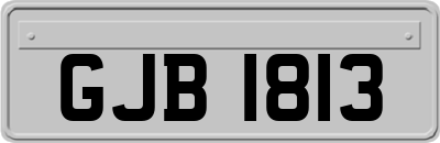 GJB1813