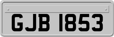GJB1853