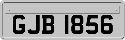 GJB1856
