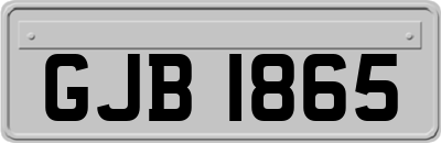 GJB1865