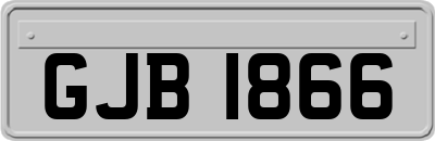 GJB1866
