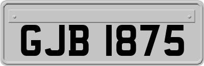 GJB1875