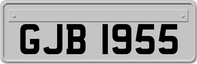 GJB1955