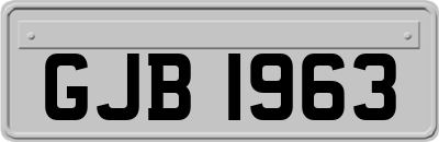 GJB1963