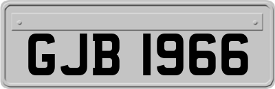 GJB1966