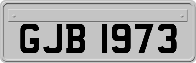 GJB1973