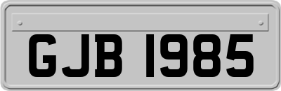 GJB1985