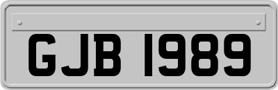 GJB1989
