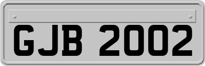 GJB2002