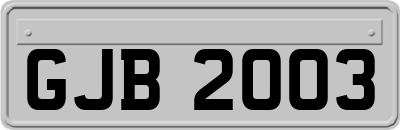 GJB2003