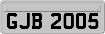 GJB2005