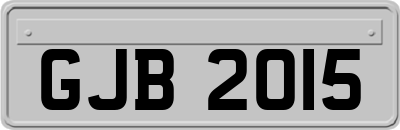 GJB2015