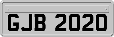 GJB2020