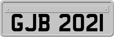 GJB2021