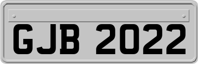 GJB2022