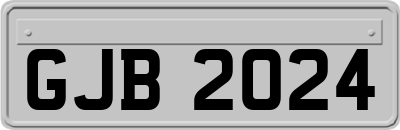 GJB2024