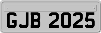 GJB2025