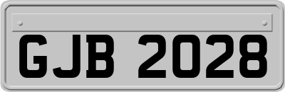 GJB2028