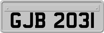 GJB2031