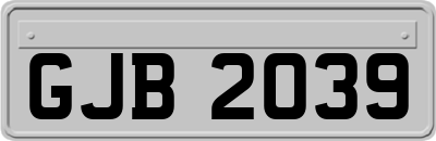 GJB2039