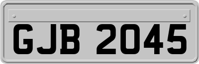 GJB2045