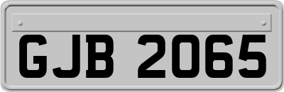 GJB2065