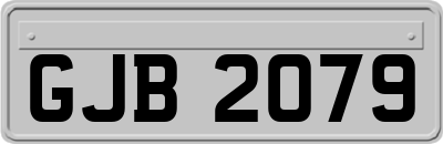 GJB2079