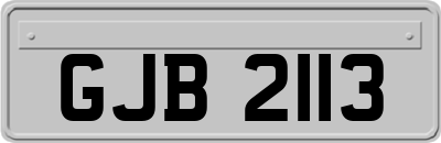 GJB2113