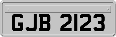 GJB2123