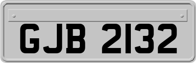 GJB2132