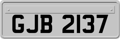 GJB2137