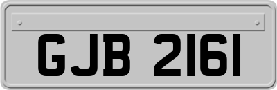 GJB2161